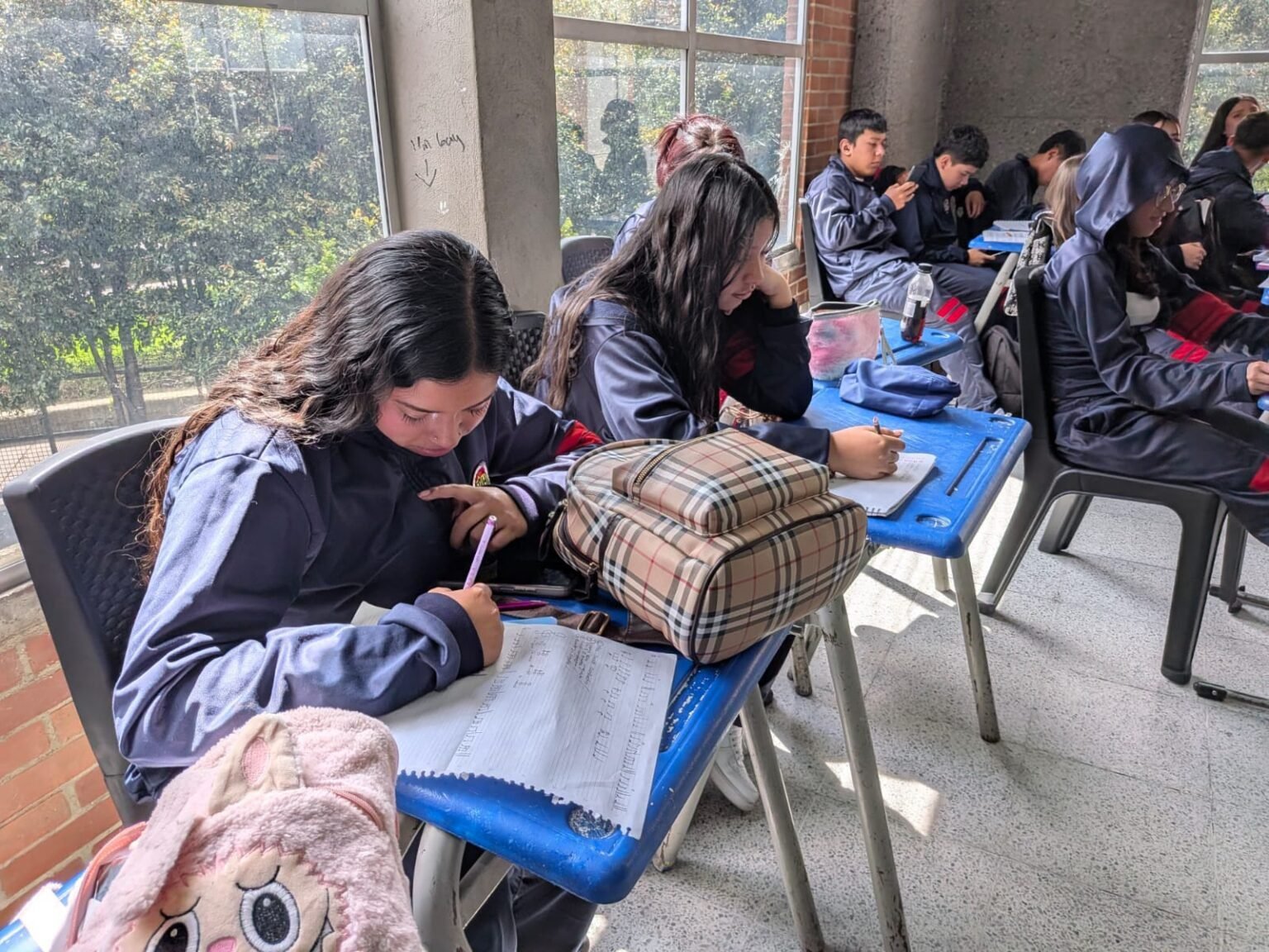 WhatsApp Image 2026-02-16 at 10.42.31 AM20